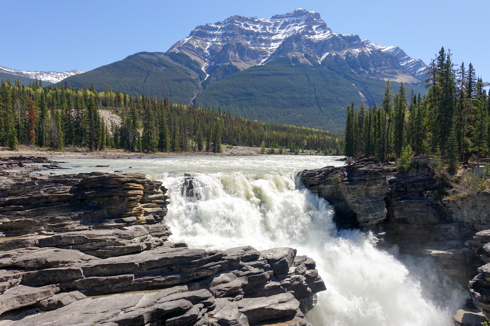 Athabaska Falls und Five Lake Trail