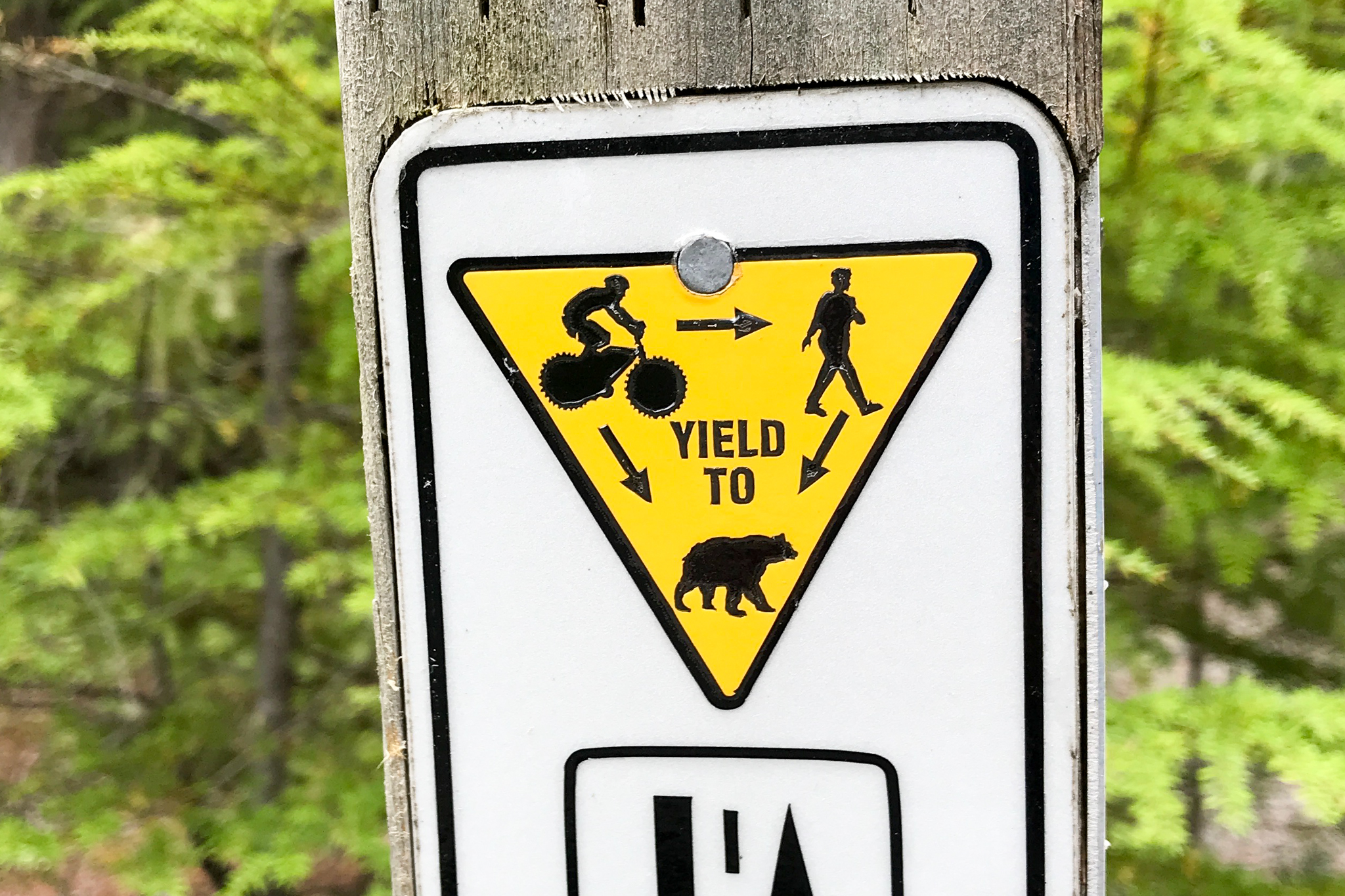 Mountainbiken in Whistler