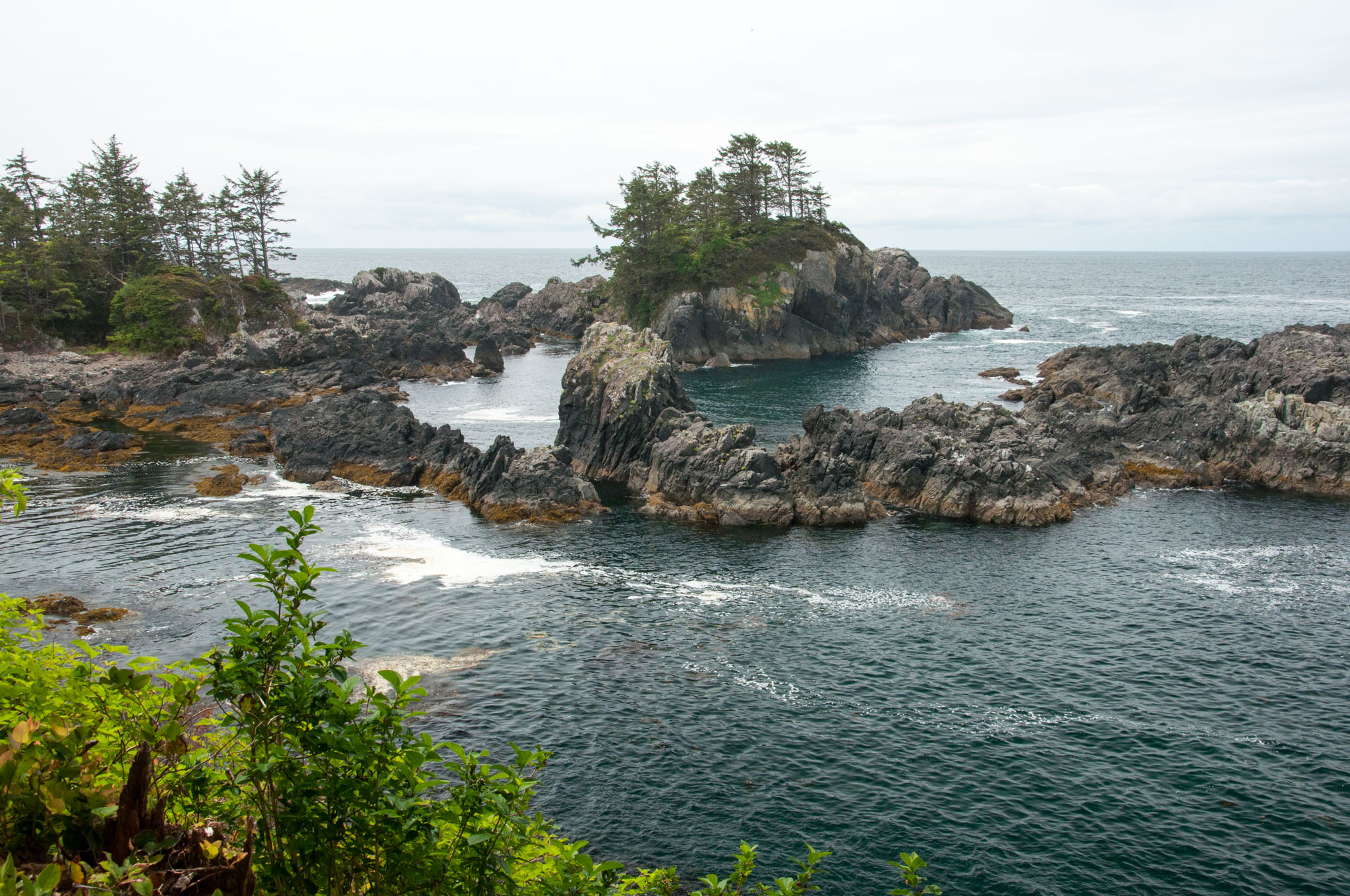 Wild Pacific Trail Ucluelet/Tofino