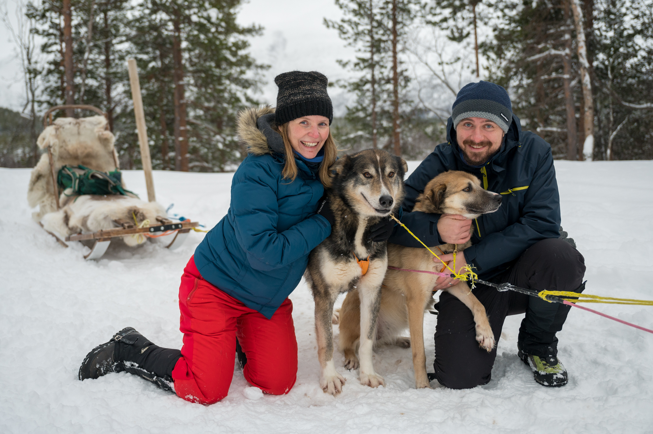 Huskyschlittenfahrt und Huskykuscheln im Reisadalen