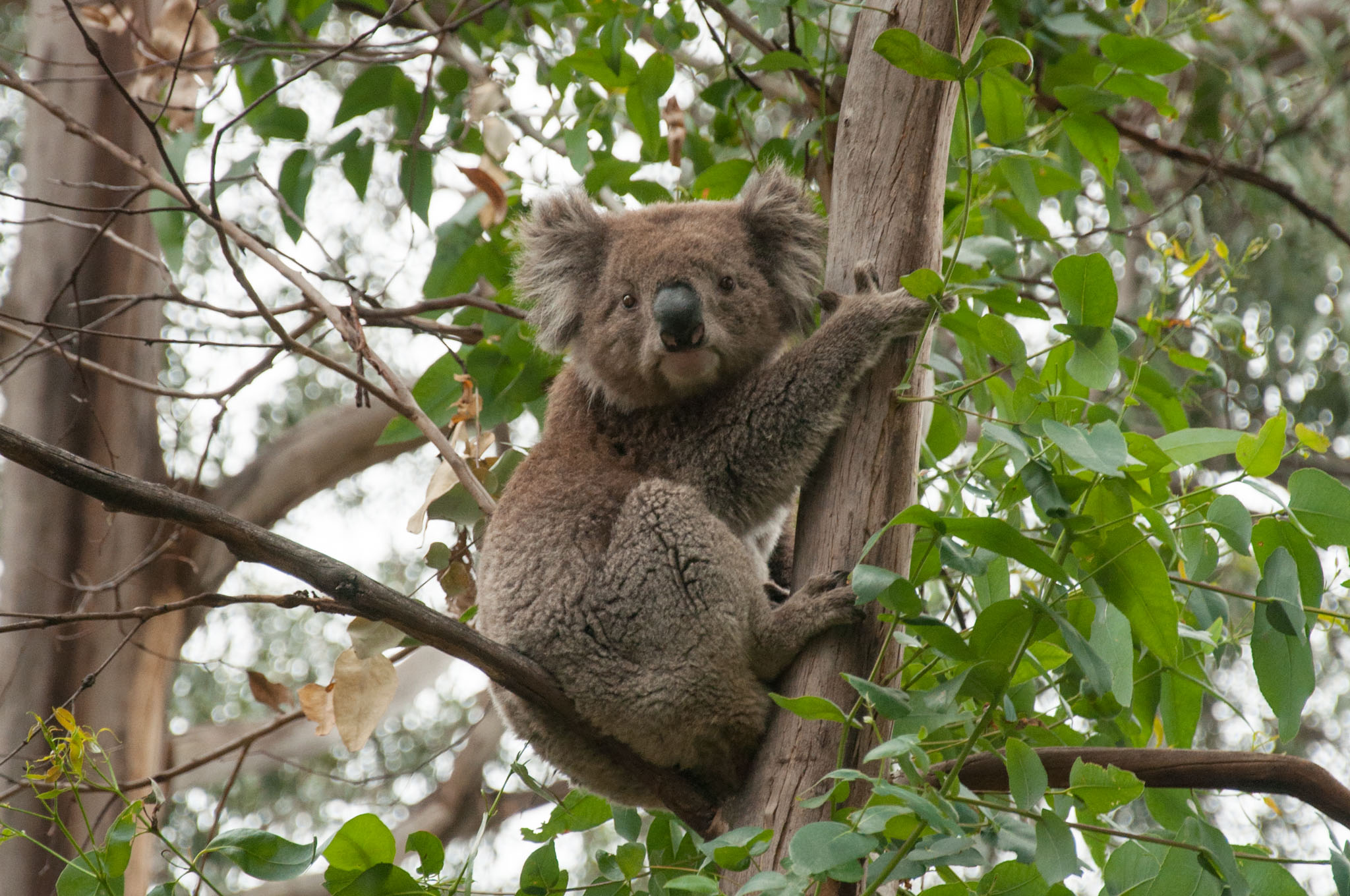 Eine Tour auf Sue‘s Farm