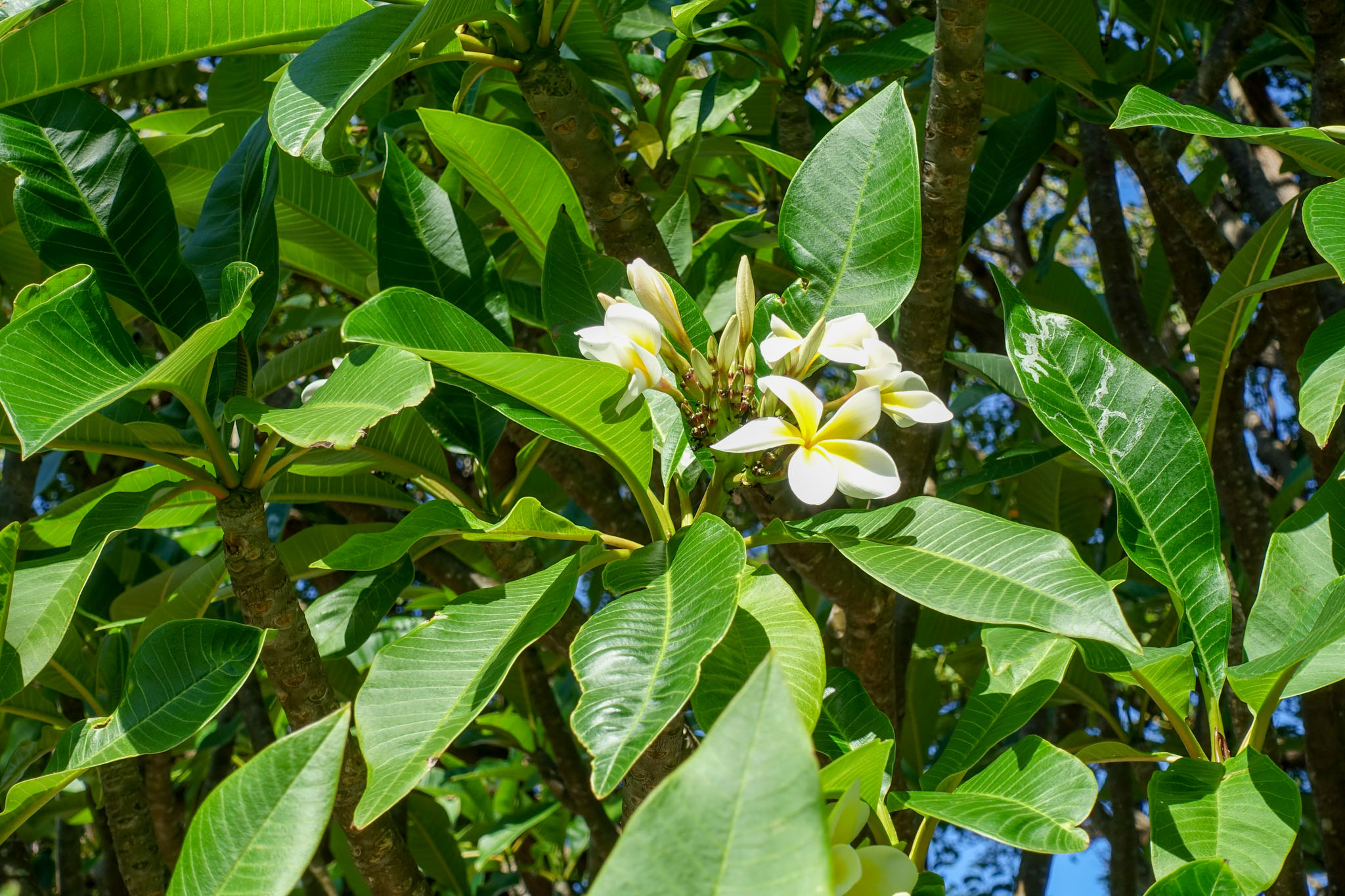 Ein ruhiger Strandtag in Sydney