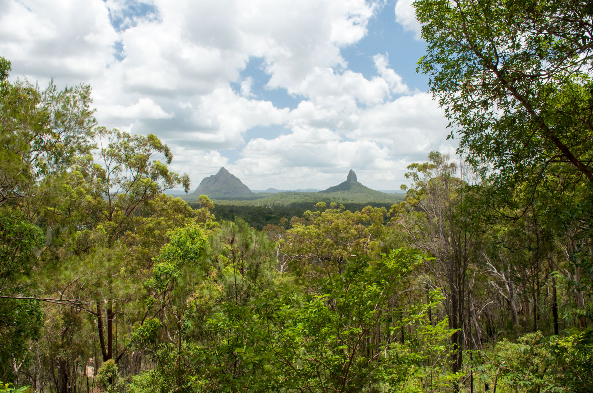 Fraser Island – so nahe wir mit Wallie eben kommen