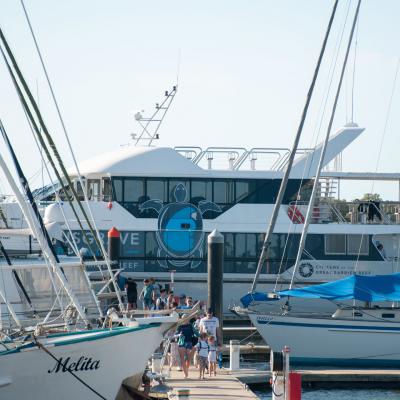 Die Lady Musgrave Experience