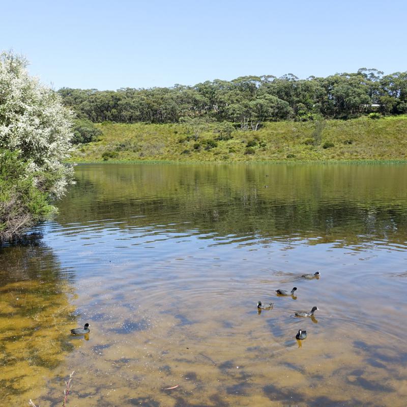 Wentworth Falls Lake