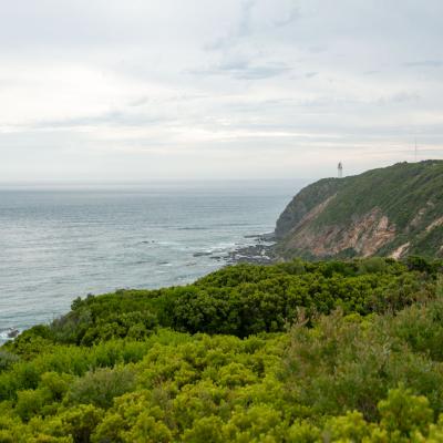 Cape Otway