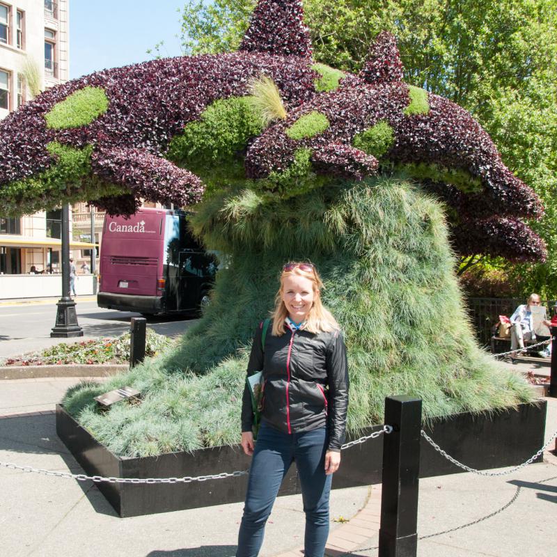 Victoria Downtown/Harbour