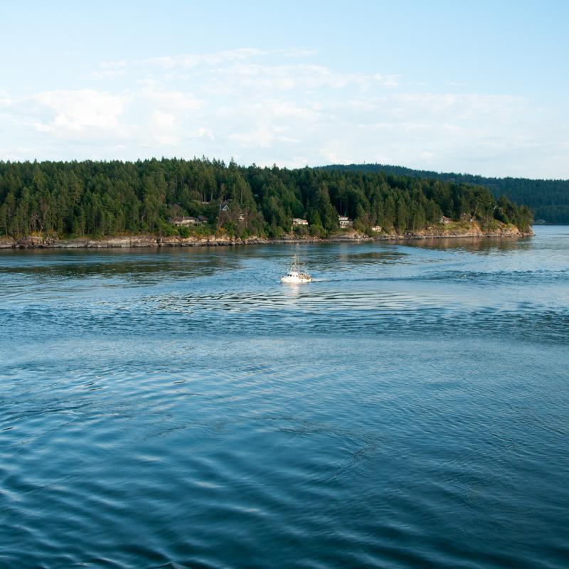 Überfahrt nach Swartz Bay