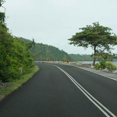 Tourist Scenic Route durch den Cassowary Regenwald190120 Bruce 09