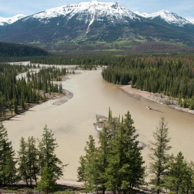 Blick vom Old Fort Trail Richtung Whistler's Peak