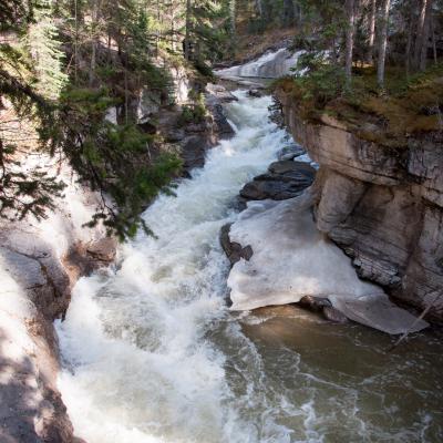 Maligne Canyon