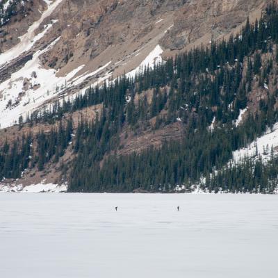 180512 Columbiaicefields 06