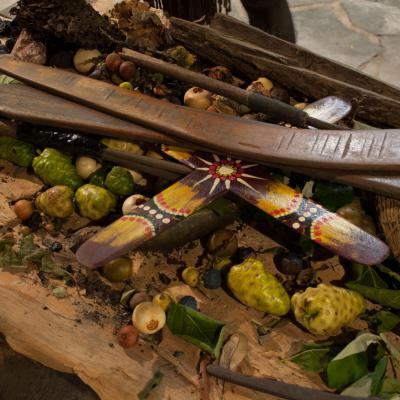 Waffen und essbare Pflanzen der Aboriginees