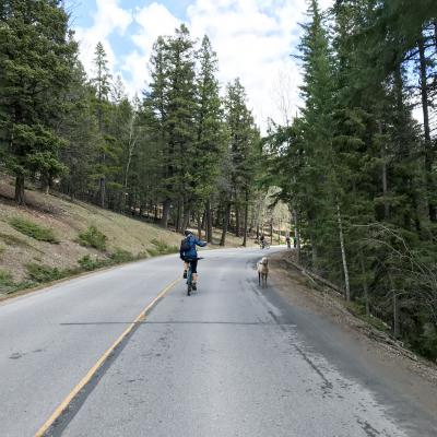 180510 Minnewanka 12