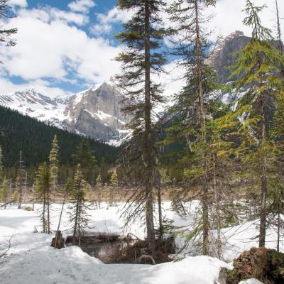 180511 Lakelouise 05