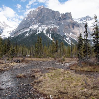 180511 Lakelouise 06