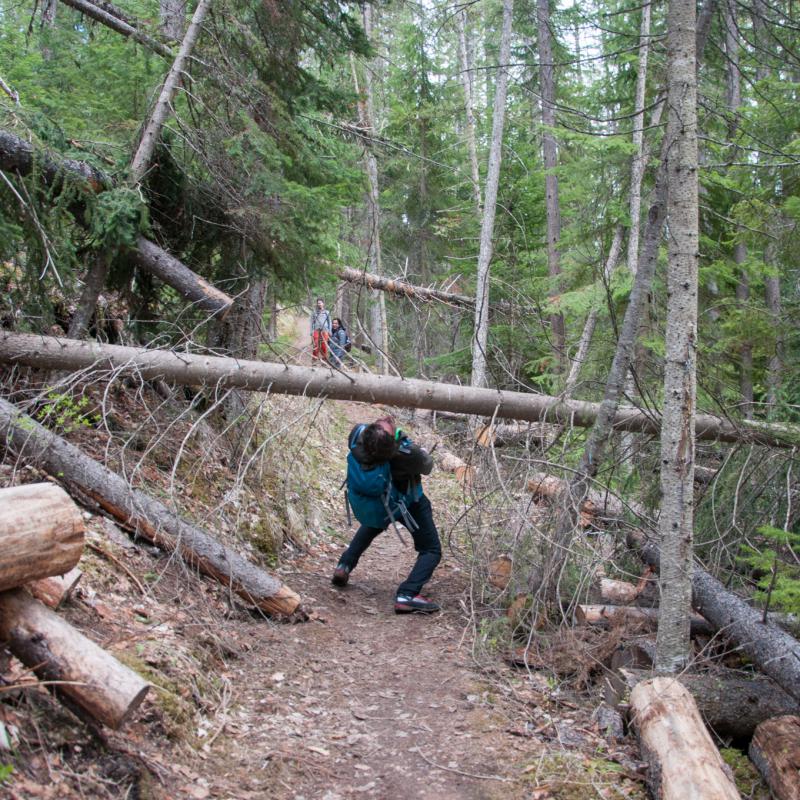 180511 Lakelouise 13