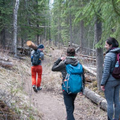 180511 Lakelouise 14