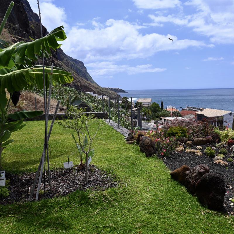 Blick von unserer Terasse nach Jardim do Mar