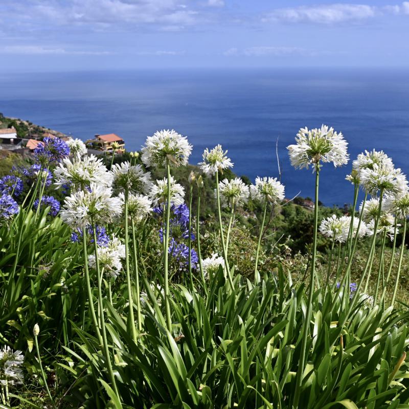 Cee24b21 8793 4e49 A5b5 F75edabdf78f