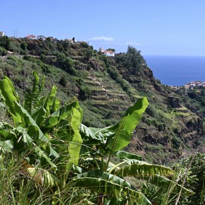 B1ddc52a 438c 476e 9919 60851c84e34a