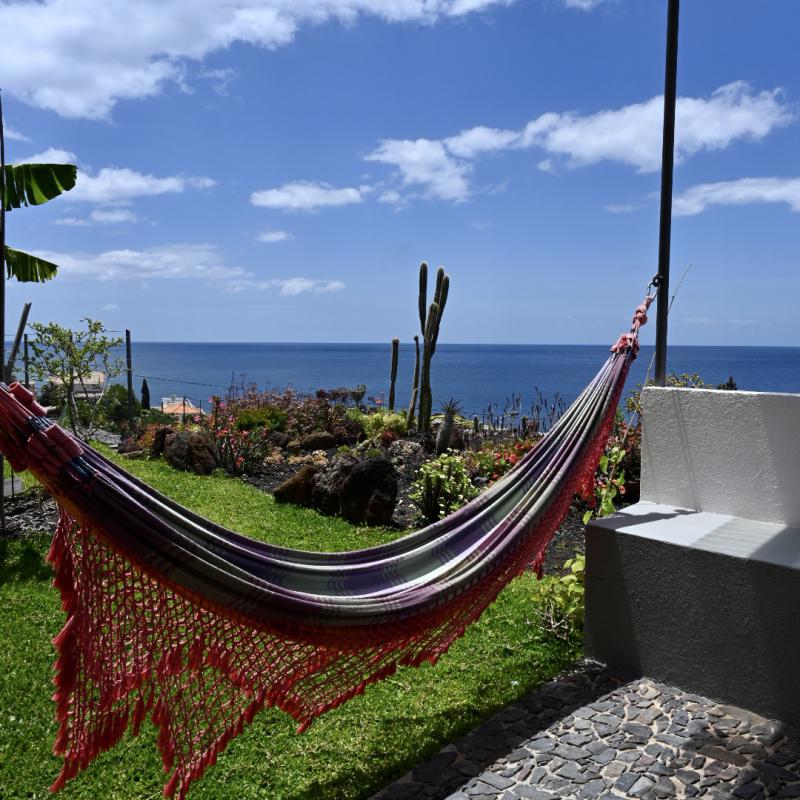 Cc20f47b Fbb8 4800 Aef4 E429aee8209c