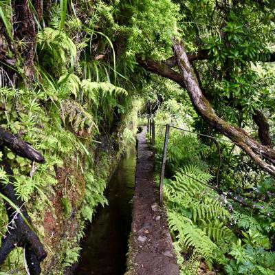 Auf der Wanderung zur Caldeirão Verde