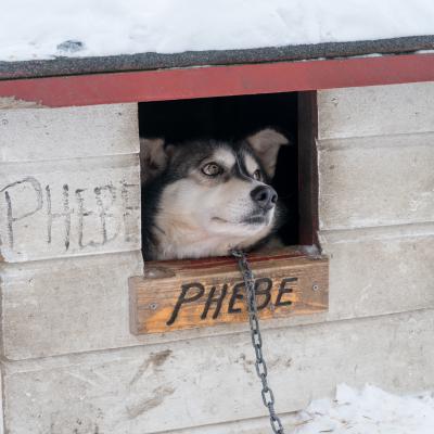 Phebe ist extrem schüchtern