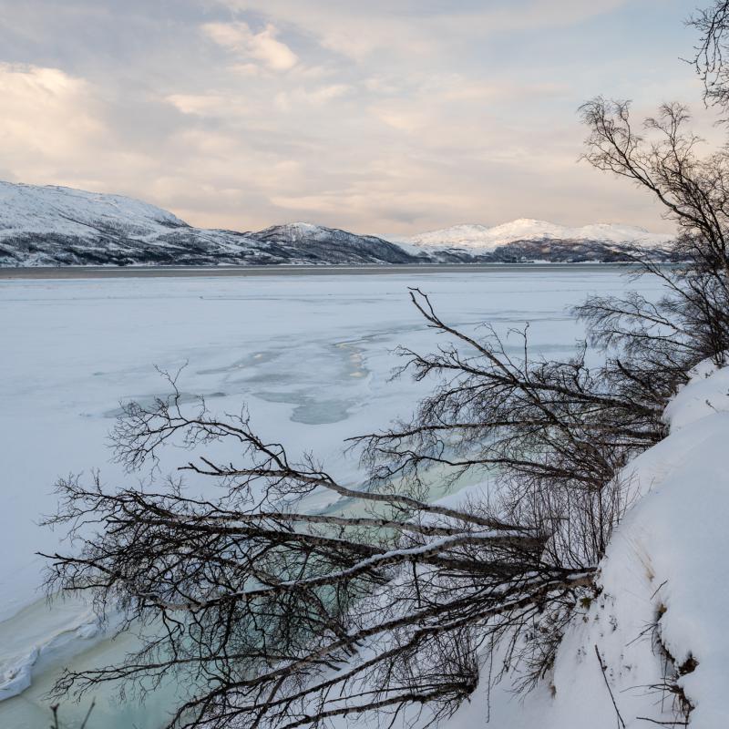 Mündung der Reisa ins Fjord
