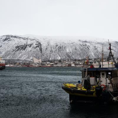 Hafen von Tromsø mit Eismeerkathedrale