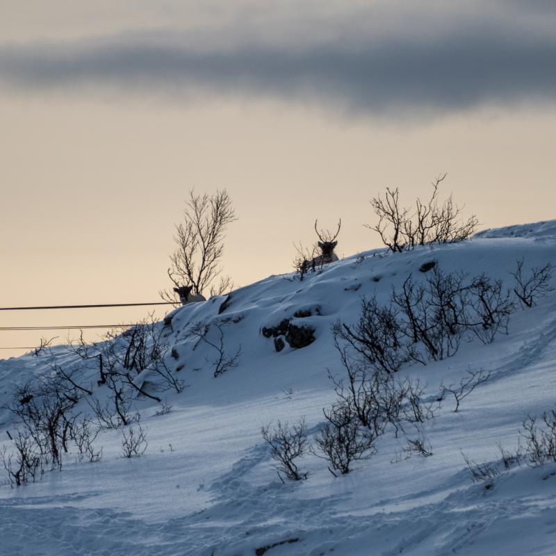 Wir werden beobachtet
