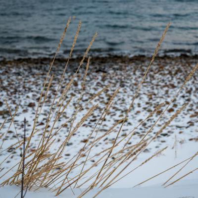 Mit dem Auto entlang des Fjords