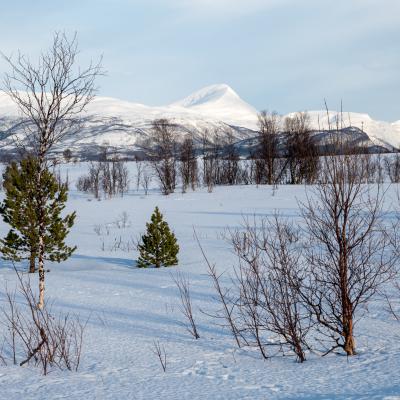 Fahrt von Målsnes nach Sommarøy