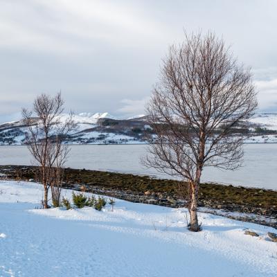 Fahrt von Målsnes nach Sommarøy