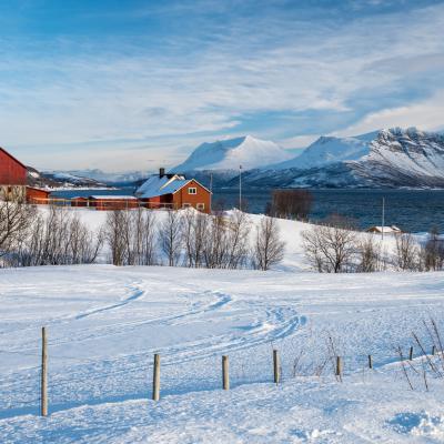 Zwischenstop in der Yggdrasiltunet Open Farm
